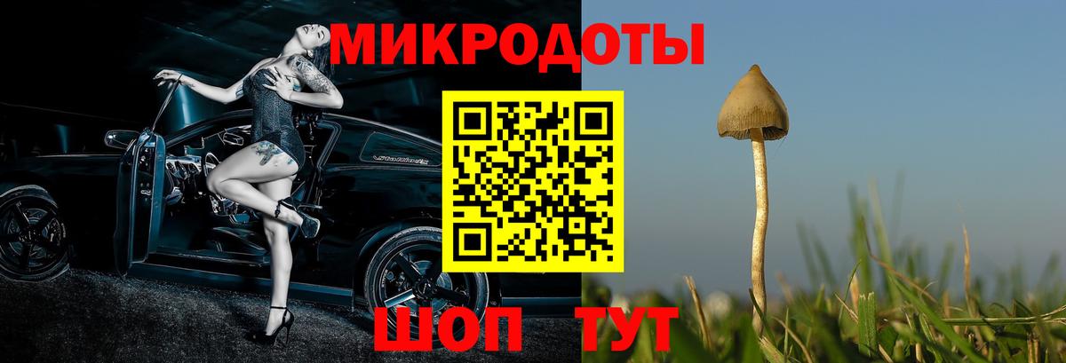 Псилоцибиновые грибы MAGIC MUSHROOMS  Вход с VPN  Миасс 
